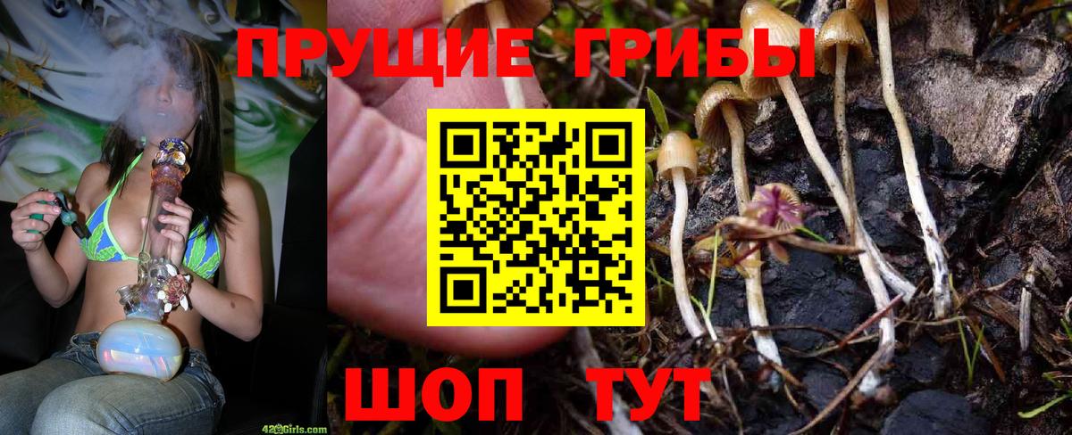 Псилоцибиновые грибы прущие грибы Волгоград