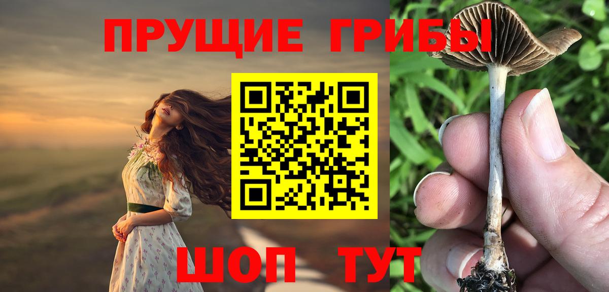 Волгоград  Псилоцибиновые грибы MAGIC MUSHROOMS  Галлюциногенные грибы ЛСД  Вход с VPN 